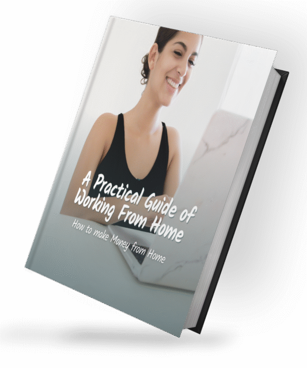 A Practical Guide For Working From Home: How to Make Money from Home